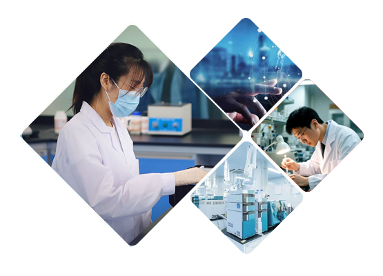 山东三体仪器优势