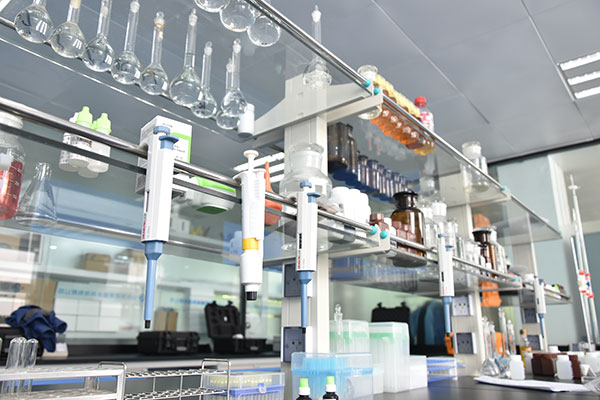 环境空气非甲烷总烃气相色谱仪检测方案