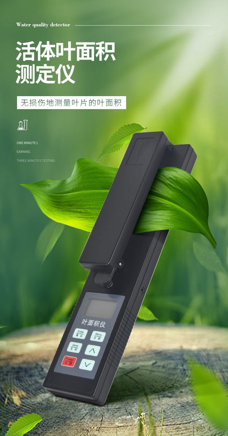 叶面积_01.jpg
