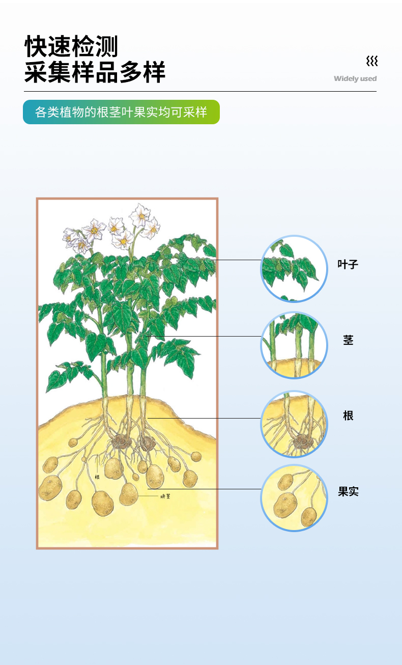 植物病害诊断仪_07.jpg