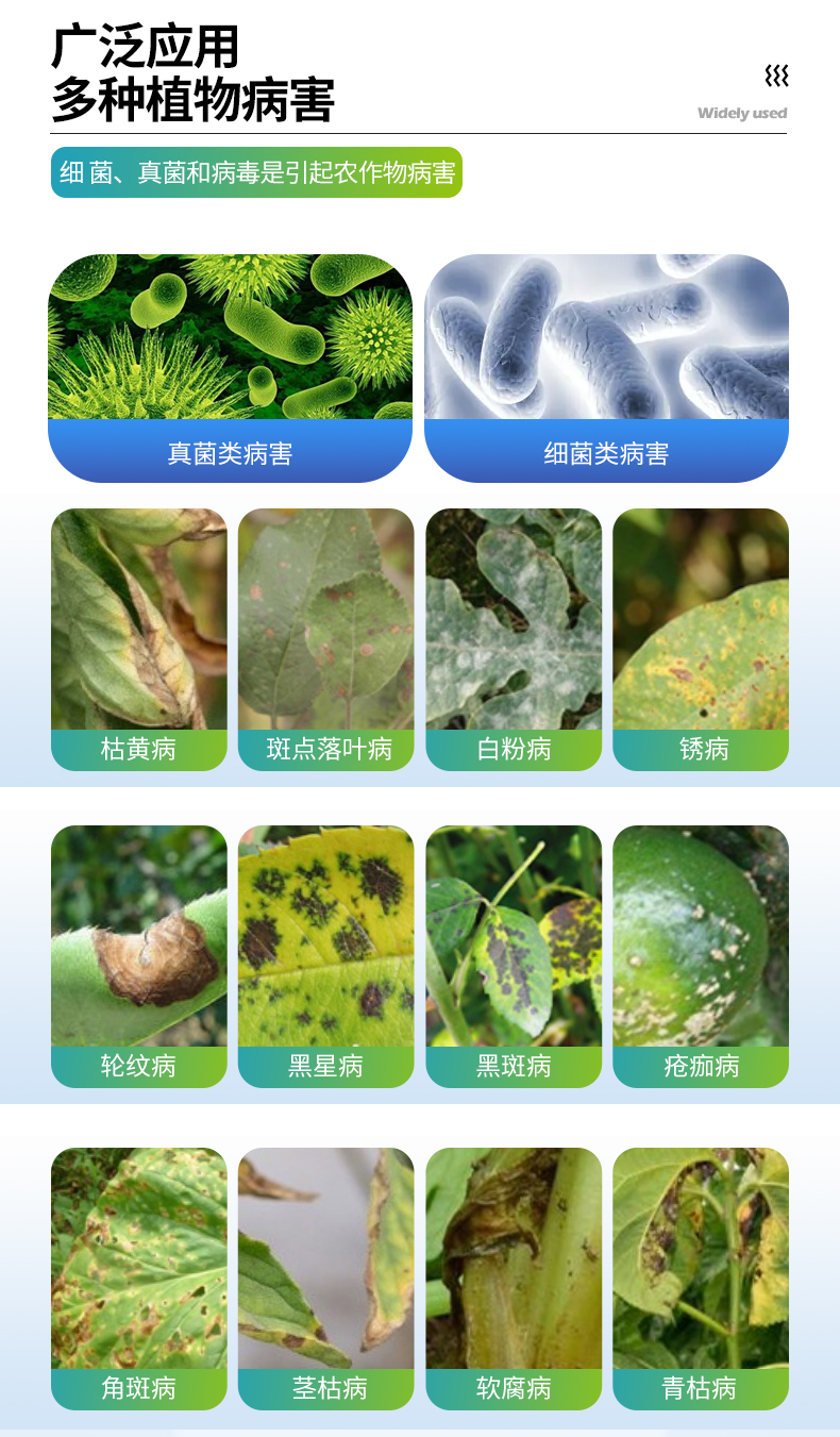 植物病害诊断仪_03.jpg