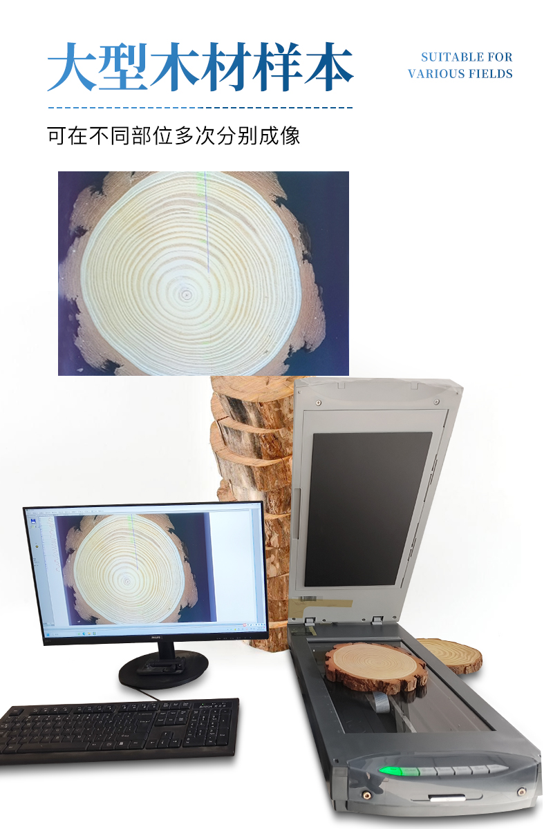 年轮分析系统-ST-NLA3详情_05.jpg